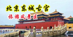 强奸校花淫穴视频中国北京-东城古宫旅游风景区